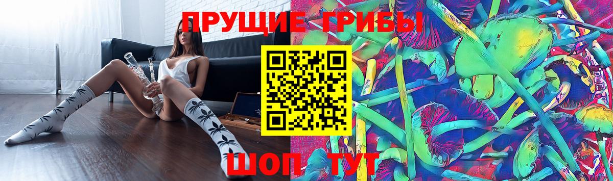 Зеленогорск  Галлюциногенные грибы прущие грибы  Вход с VPN  купить наркотики цена  Галлюциногенные грибы мицелий 
