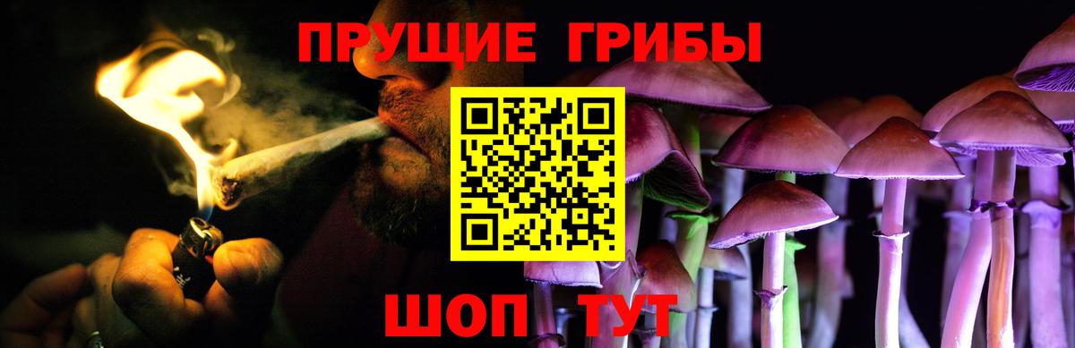 Псилоцибиновые грибы Cubensis Зеленогорск
